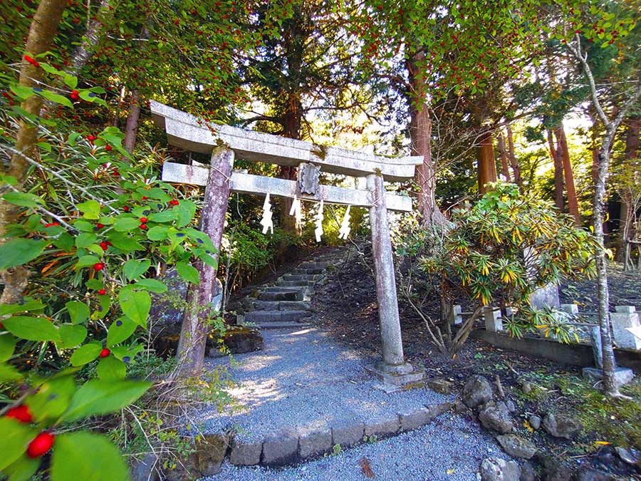木々に囲まれた鳥居と石段